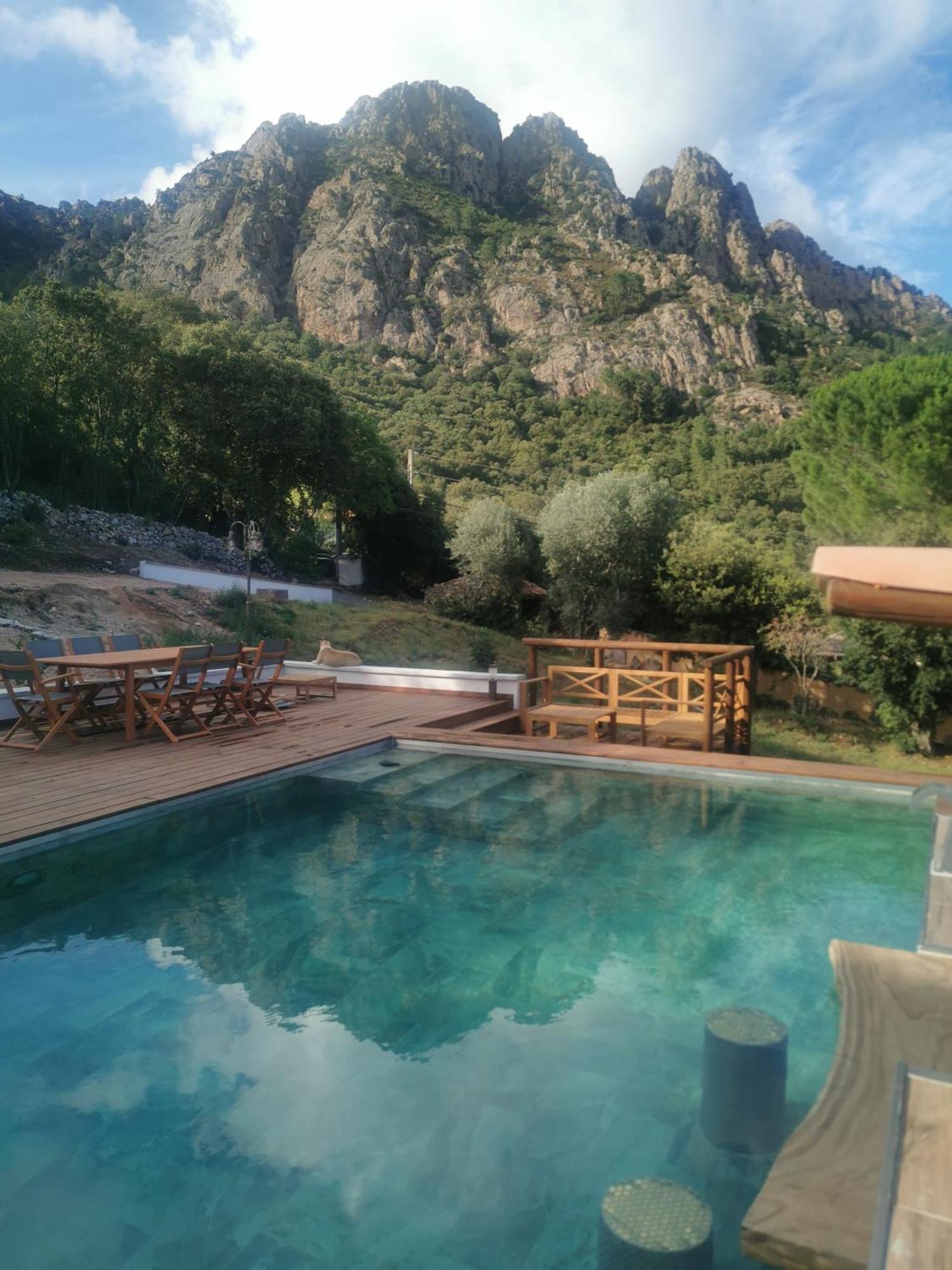 Jardin Et Piscine Les Anges Du Maquis Location Corse-du-sud *