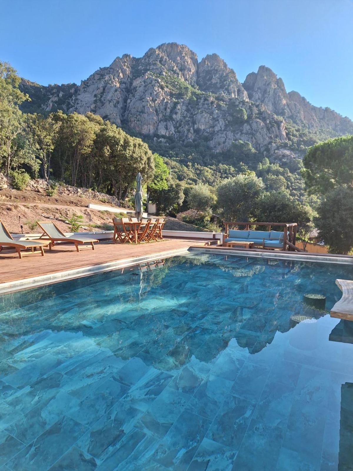 Jardin Et Piscine Les Anges Du Maquis Location Corse-du-sud Apartment