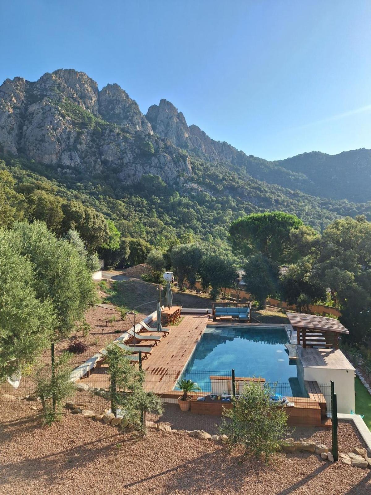 Apartment Jardin Et Piscine Les Anges Du Maquis Location Corse-du-sud *